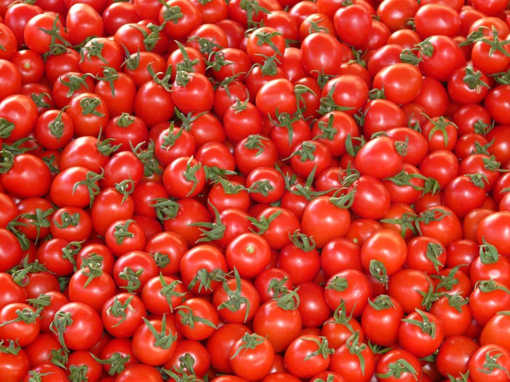 tomatoes, vegetables, red